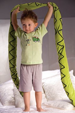 Piżama Model Samuel 2973 Grey/Green - Piccolo Meva