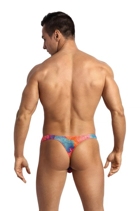 Stringi Model Falcon Multicolor - Anais Stringi Model Falcon Multicolor - Anais
